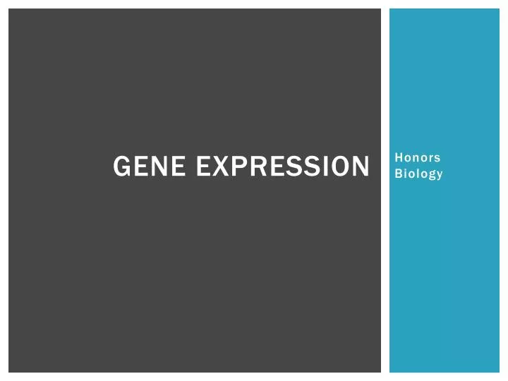 gene expression