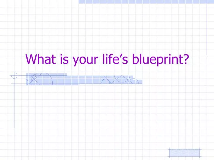 what is your life s blueprint