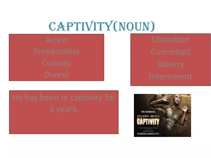 captivity noun