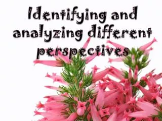 Identifying and analyzing different perspectives