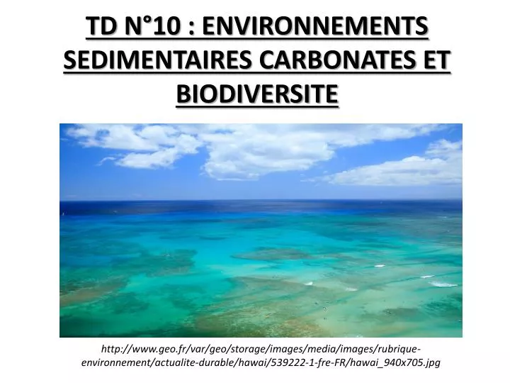 td n 10 environnements sedimentaires carbonates et biodiversite