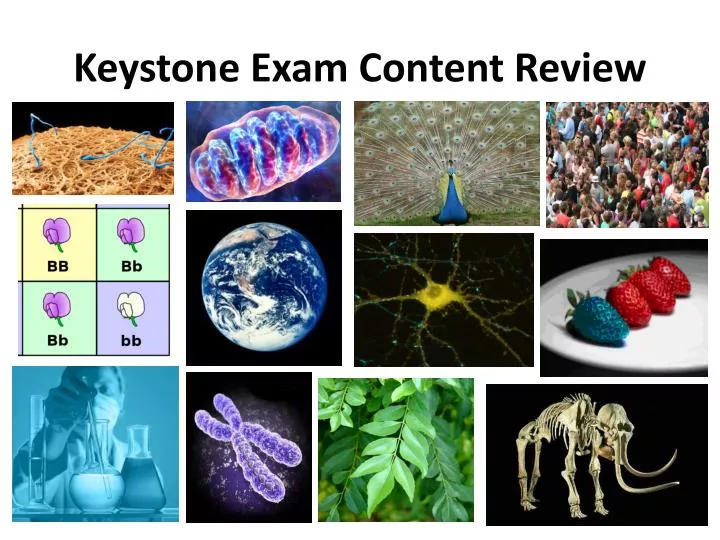 keystone exam content review