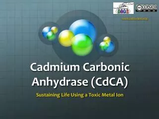 Cadmium Carbonic Anhydrase ( CdCA )