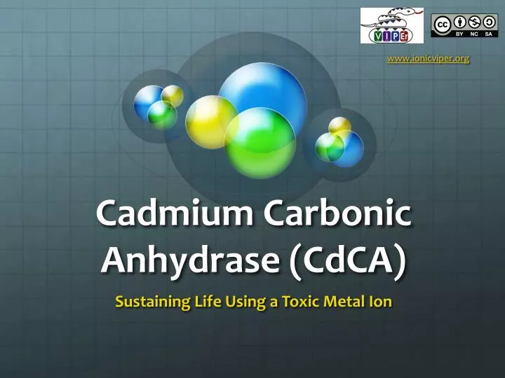 cadmium carbonic anhydrase cdca