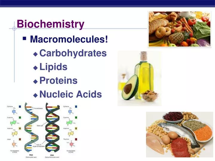 biochemistry