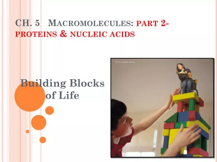 ch 5 macromolecules part 2 proteins nucleic acids
