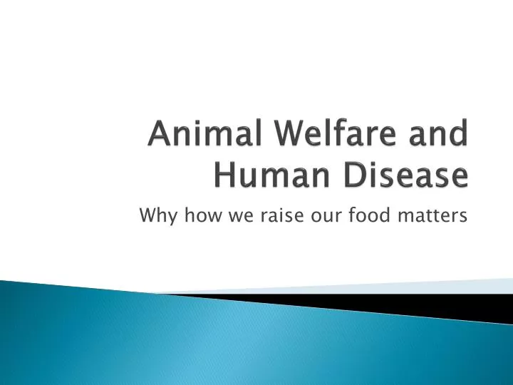 animal welfare and human disease
