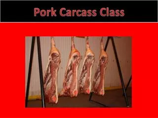 Pork Carcass Class