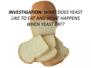 INVESTIGATION: WHAT DOES YEAST LIKE TO EAT AND WHAT HAPPENS WHEN YEAST EAT?
