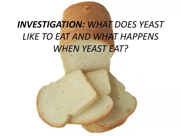 investigation what does yeast like to eat and what happens when yeast eat