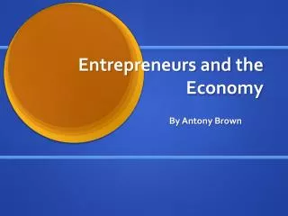 Entrepreneurs and the Economy