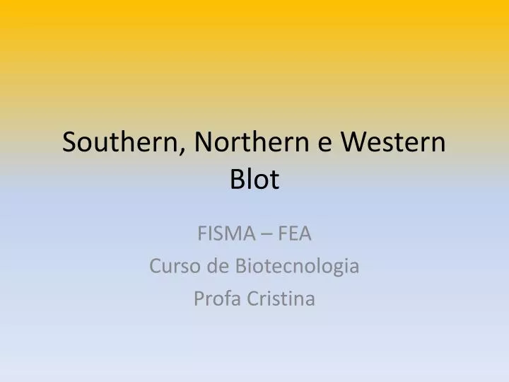 southern northern e western blot