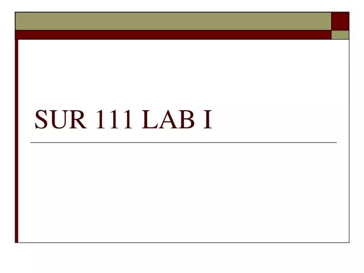 sur 111 lab i