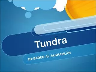 Tundra