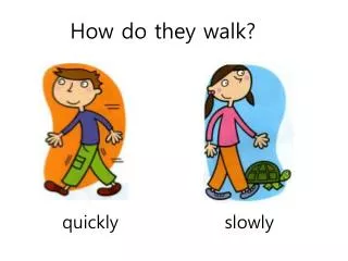 how do they walk