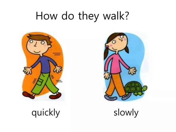 how do they walk