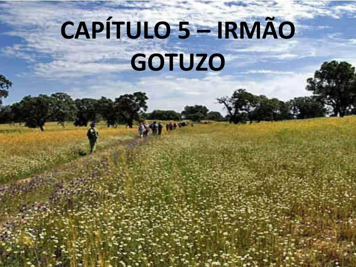 cap tulo 5 irm o gotuzo