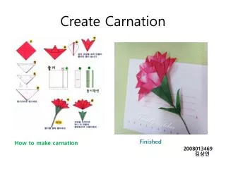 Create Carnation