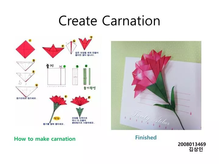 create carnation