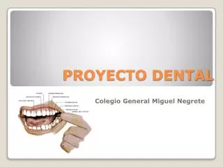 proyecto dental