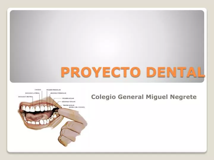 proyecto dental