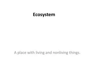 ecosystem