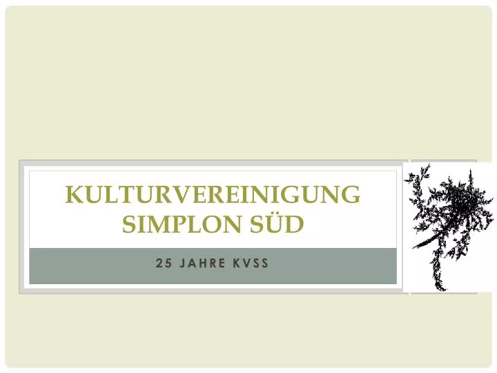 kulturvereinigung simplon s d