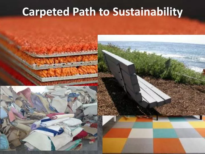 carpeted path to sustainability