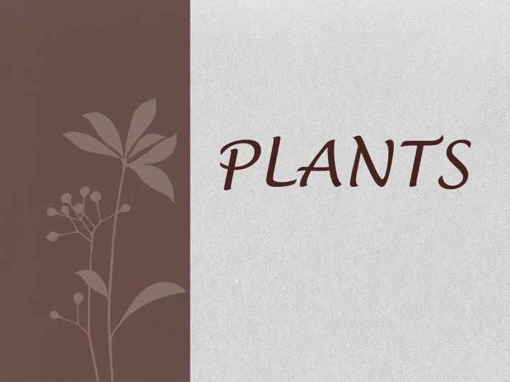 plants