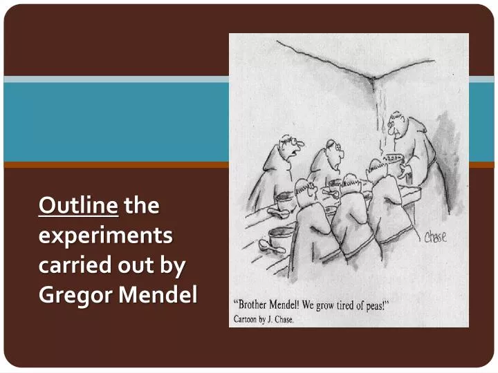outline the experiments carried out by gregor mendel