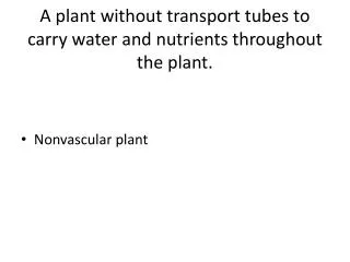 A plant without transport tubes to carry water and nutrients throughout the plant.