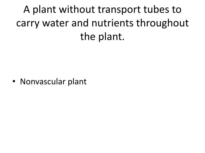 a plant without transport tubes to carry water and nutrients throughout the plant