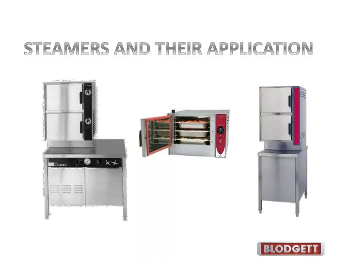 steamers and their application