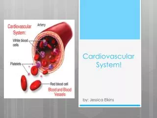Cardiovascular System!