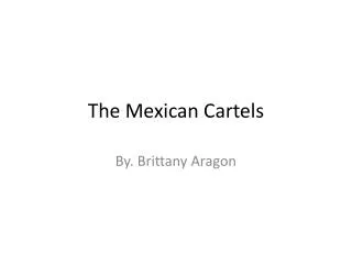 The Mexican Cartels