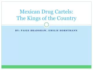 Mexican Drug Cartels: The Kings of the Country