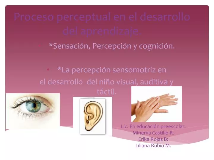 proceso perceptual en el desarrollo del aprendizaje