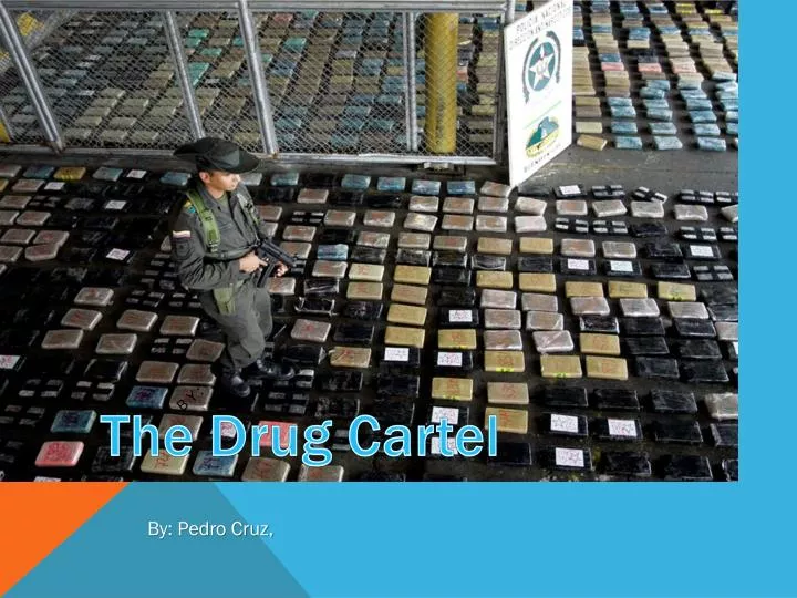the drug cartel