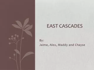 East Cascades