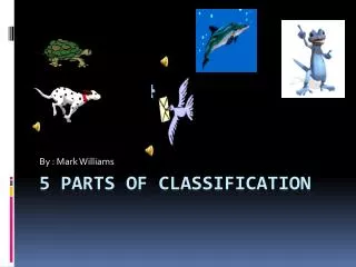 5 parts of classification