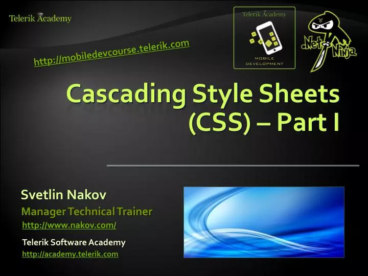 cascading style sheets css part i