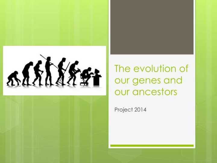 the evolution of our genes and our ancestors