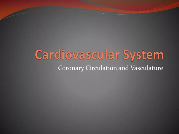 cardiovascular system