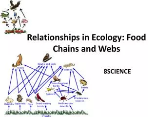 Relationships in Ecology: Food Chains and Webs