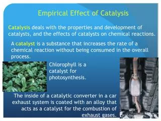 Empirical Effect of Catalysis