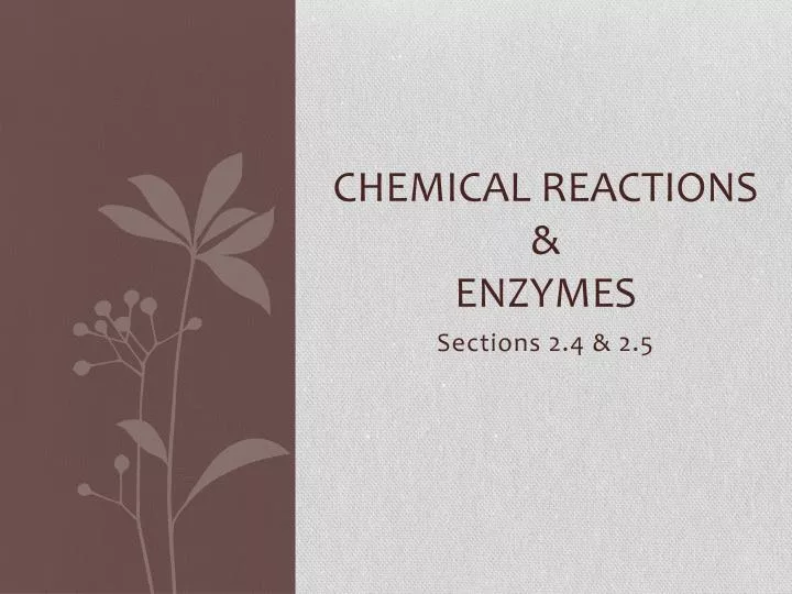 chemical reactions enzymes