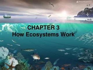 CHAPTER 3 How Ecosystems Work