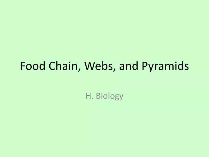food chain webs and pyramids