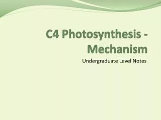 C4 Photosynthesis - Mechanism