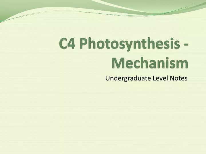 c4 photosynthesis mechanism
